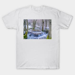 Calc-sinter or Travertine terraces, Gutenberg, South Germany T-Shirt